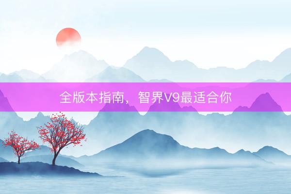 全版本指南，智界V9最适合你
