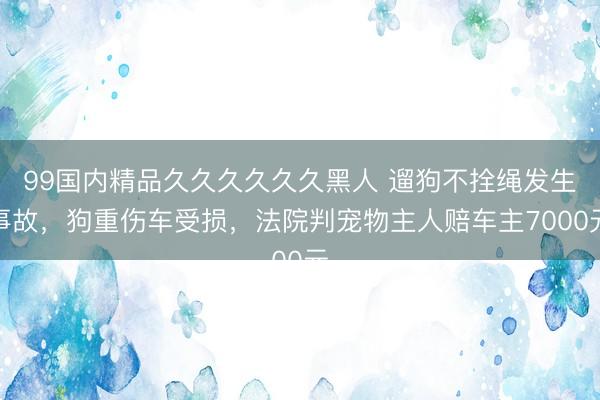 99国内精品久久久久久久黑人 遛狗不拴绳发生事故，狗重伤车受损，法院判宠物主人赔车主7000元