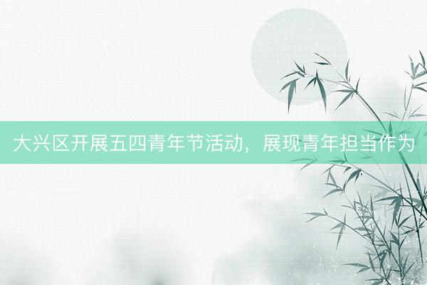 大兴区开展五四青年节活动，展现青年担当作为