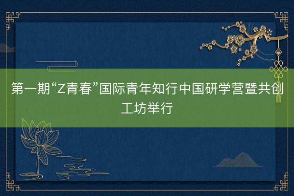 第一期“Z青春”国际青年知行中国研学营暨共创工坊举行