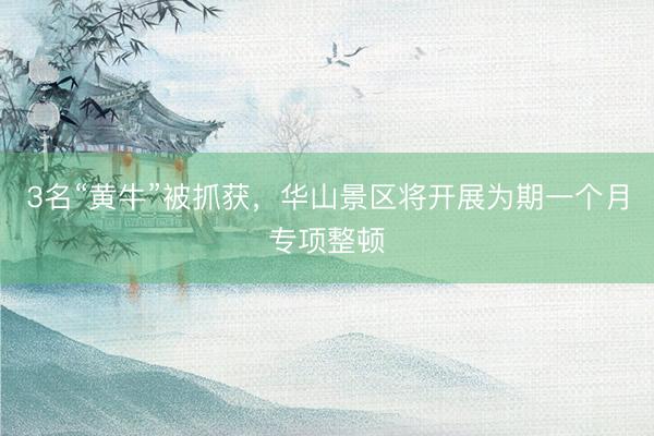 3名“黄牛”被抓获，华山景区将开展为期一个月专项整顿
