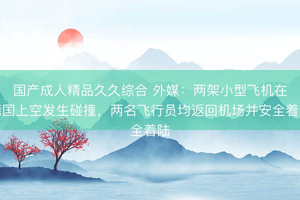 国产成人精品久久综合 外媒：两架小型飞机在德国上空发生碰撞，两名飞行员均返回机场并安全着陆