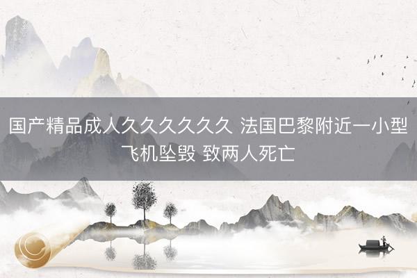 国产精品成人久久久久久久 法国巴黎附近一小型飞机坠毁 致两人死亡