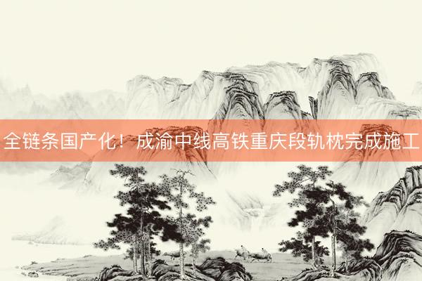 全链条国产化！成渝中线高铁重庆段轨枕完成施工
