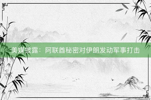 美媒披露：阿联酋秘密对伊朗发动军事打击