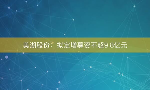 美湖股份：拟定增募资不超9.8亿元