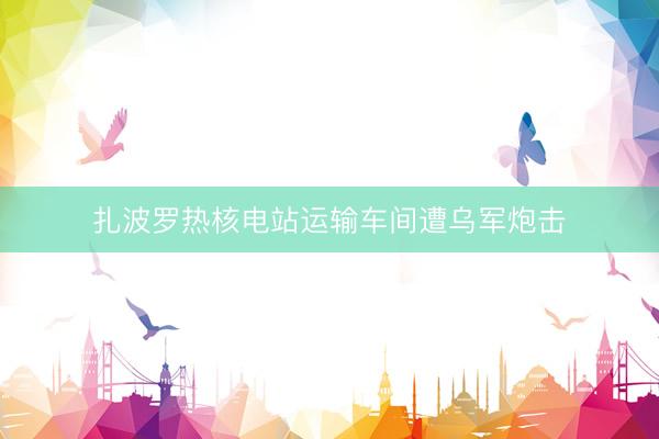 扎波罗热核电站运输车间遭乌军炮击