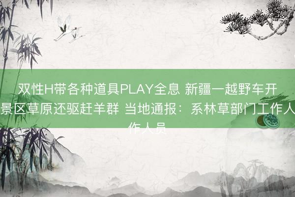 双性H带各种道具PLAY全息 新疆一越野车开进景区草原还驱赶羊群 当地通报：系林草部门工作人员