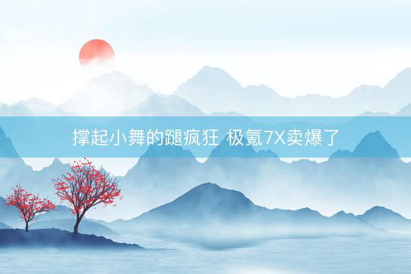 撑起小舞的蹆疯狂 极氪7X卖爆了