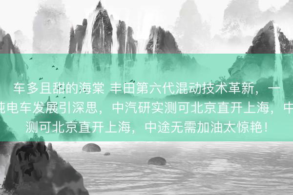 车多且甜的海棠 丰田第六代混动技术革新，一箱油续航超千里，纯电车发展引深思，中汽研实测可北京直开上海，中途无需加油太惊艳！