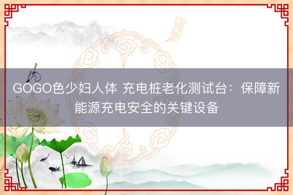 GOGO色少妇人体 充电桩老化测试台：保障新能源充电安全的关键设备