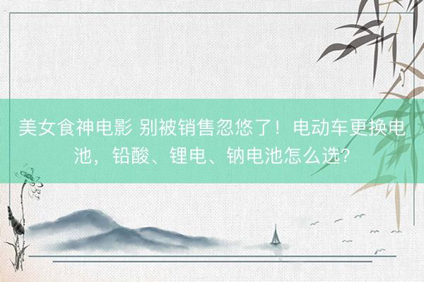 美女食神电影 别被销售忽悠了！电动车更换电池，铅酸、锂电、钠电池怎么选？