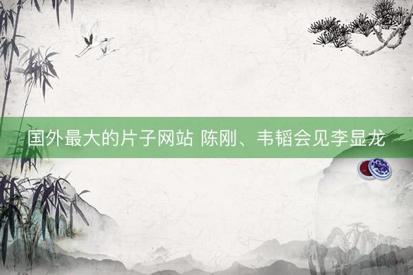 国外最大的片子网站 陈刚、韦韬会见李显龙