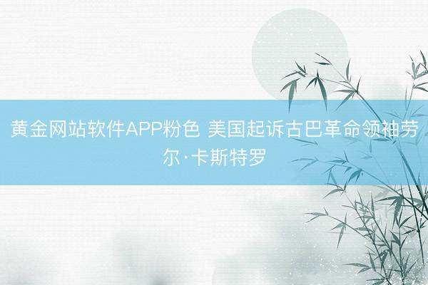 黄金网站软件APP粉色 美国起诉古巴革命领袖劳尔·卡斯特罗