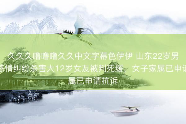久久久噜噜噜久久中文字幕色伊伊 山东22岁男子因感情纠纷杀害大12岁女友被判死缓，女子家属已申请抗诉