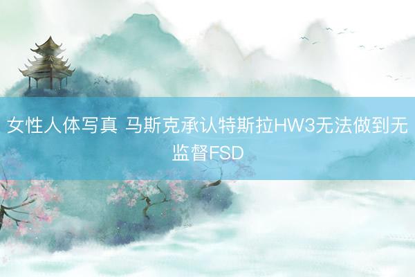 女性人体写真 马斯克承认特斯拉HW3无法做到无监督FSD