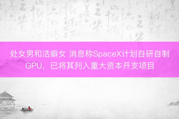 处女男和洁癖女 消息称SpaceX计划自研自制GPU，已将其列入重大资本开支项目