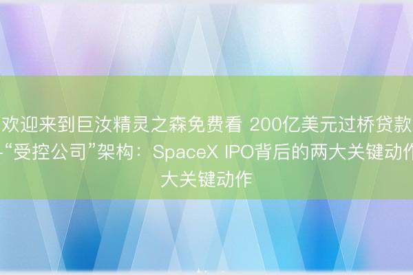 欢迎来到巨汝精灵之森免费看 200亿美元过桥贷款+“受控公司”架构:SpaceX IPO背后的两大关键动作