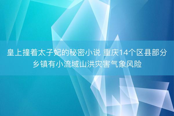 皇上撞着太子妃的秘密小说 重庆14个区县部分乡镇有小流域山洪灾害气象风险