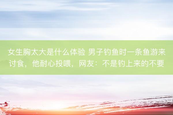 女生胸太大是什么体验 男子钓鱼时一条鱼游来讨食,他耐心投喂,网友:不是钓上来的不要
