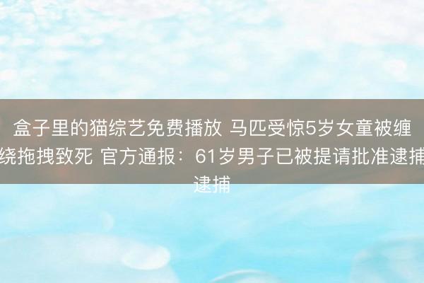 盒子里的猫综艺免费播放 马匹受惊5岁女童被缠绕拖拽致死 官方通报:61岁男子已被提请批准逮捕