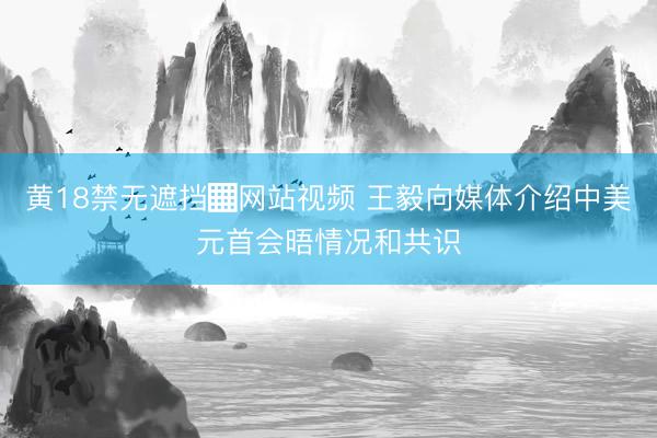 黄18禁无遮挡▓网站视频 王毅向媒体介绍中美元首会晤情况和共识