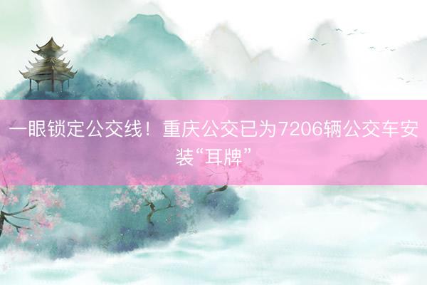 一眼锁定公交线!重庆公交已为7206辆公交车安装“耳牌”