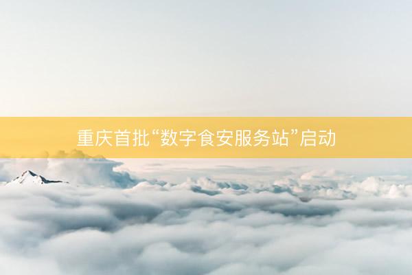 重庆首批“数字食安服务站”启动