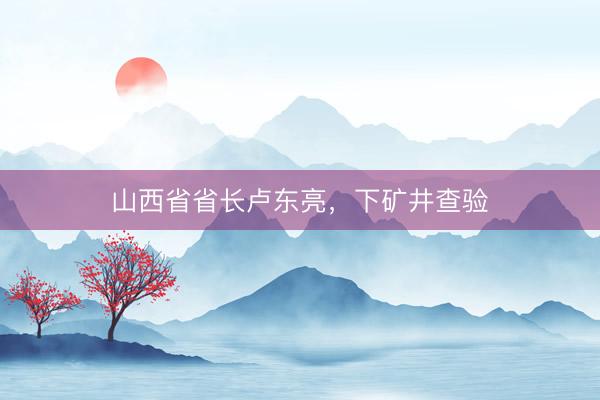 山西省省长卢东亮，下矿井查验