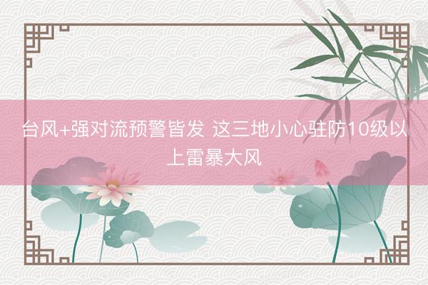 台风+强对流预警皆发 这三地小心驻防10级以上雷暴大风