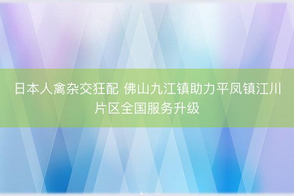 日本人禽杂交狂配 佛山九江镇助力平凤镇江川片区全国服务升级