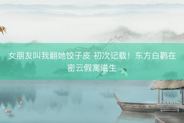女朋友叫我翻她饺子皮 初次记载！东方白鹳在密云假寓滋生
