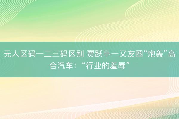 无人区码一二三码区别 贾跃亭一又友圈“炮轰”高合汽车：“行业的羞辱”
