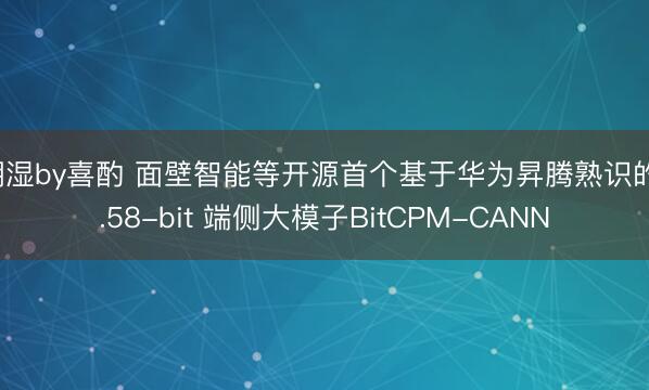 潮湿by喜酌 面壁智能等开源首个基于华为昇腾熟识的1.58-bit 端侧大模子BitCPM-CANN