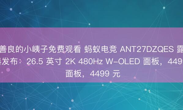 善良的小峓子免费观看 蚂蚁电竞 ANT27DZQES 露出器发布：26.5 英寸 2K 480Hz W-OLED 面板，4499 元