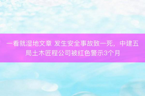 一看就湿地文章 发生安全事故致一死,中建五局土木匠程公司被红色警示3个月