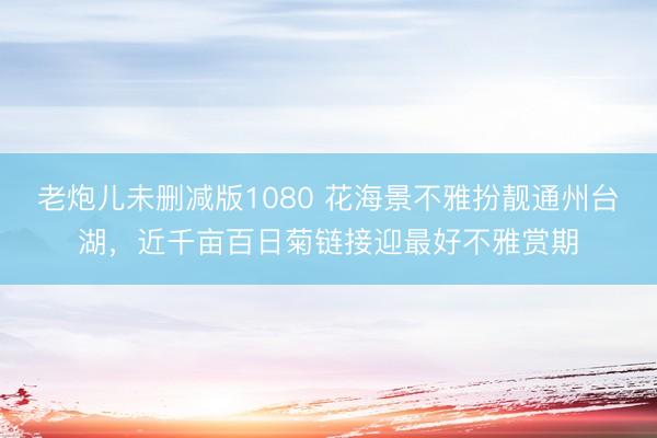 老炮儿未删减版1080 花海景不雅扮靓通州台湖，近千亩百日菊链接迎最好不雅赏期
