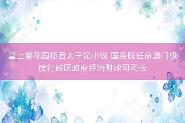 皇上御花园撞着太子妃小说 国务院任命澳门极度行政区政府经济财政司司长