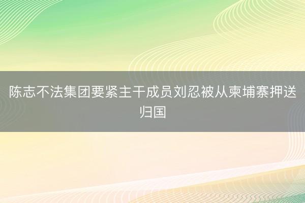 陈志不法集团要紧主干成员刘忍被从柬埔寨押送归国
