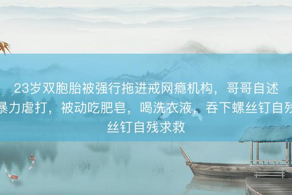 23岁双胞胎被强行拖进戒网瘾机构，哥哥自述：遭暴力虐打，被动吃肥皂，喝洗衣液，吞下螺丝钉自残求救