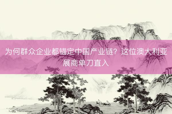 为何群众企业都锚定中国产业链？这位澳大利亚展商单刀直入